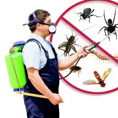 pest control DeWitt